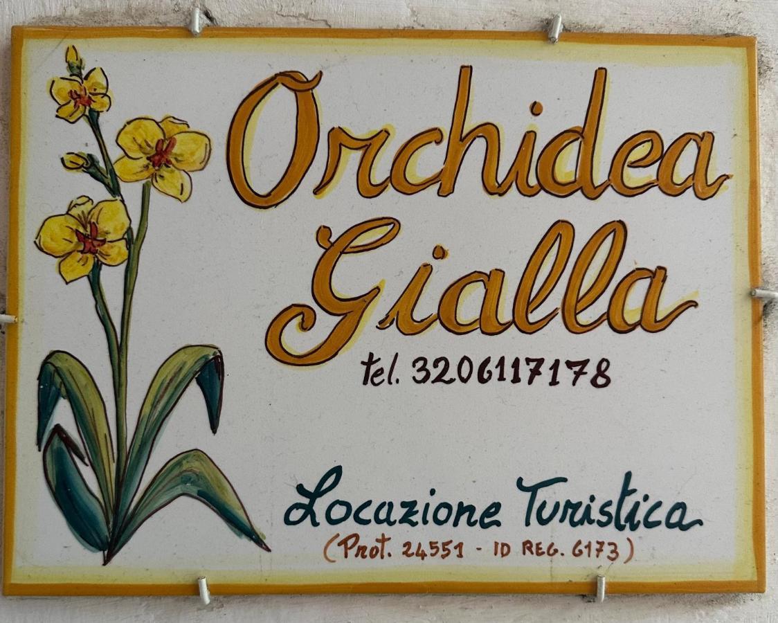 Orchidea Gialla Gaeta Esterno foto